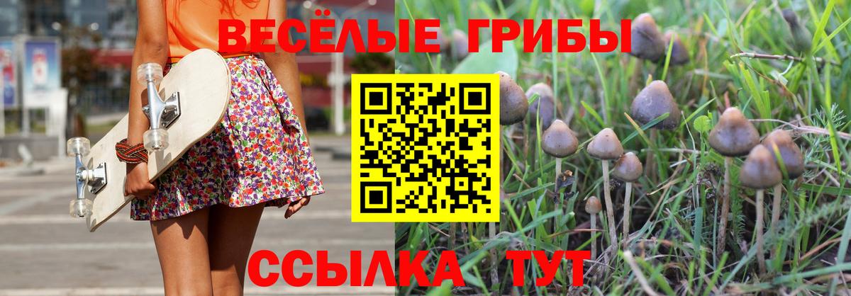 Псилоцибиновые грибы мухоморы  Вход с VPN  Сергиев Посад 